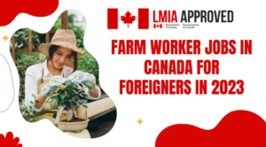 Laborer, Field and Vegetable Crops Jobs In Canada